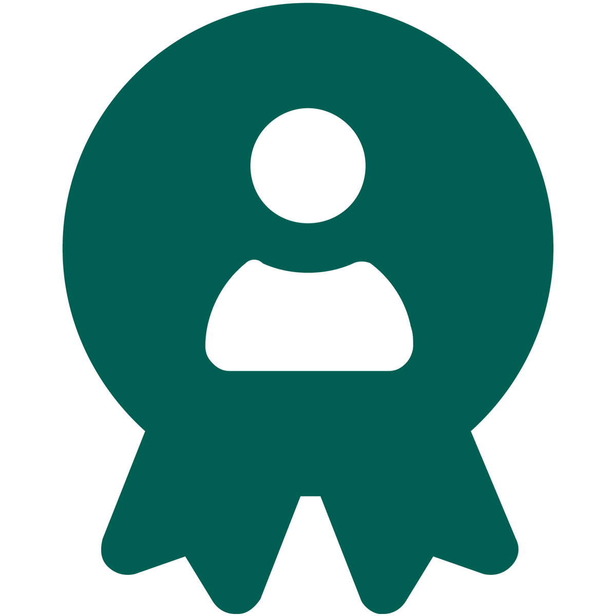 Icon Experte